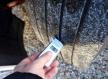 IVECO Stralis 450 Euro5