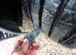 MB Actros 1845 Euro6