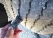 SCANIA G450 Euro6 6x2